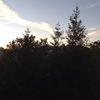 cynthiagrant52